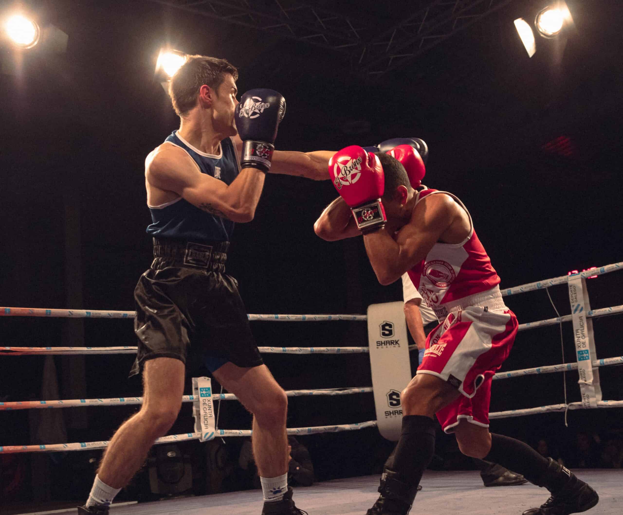 escuela de combate boxeo